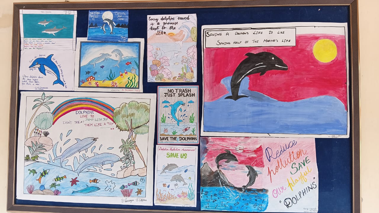 Dolphin Conservation